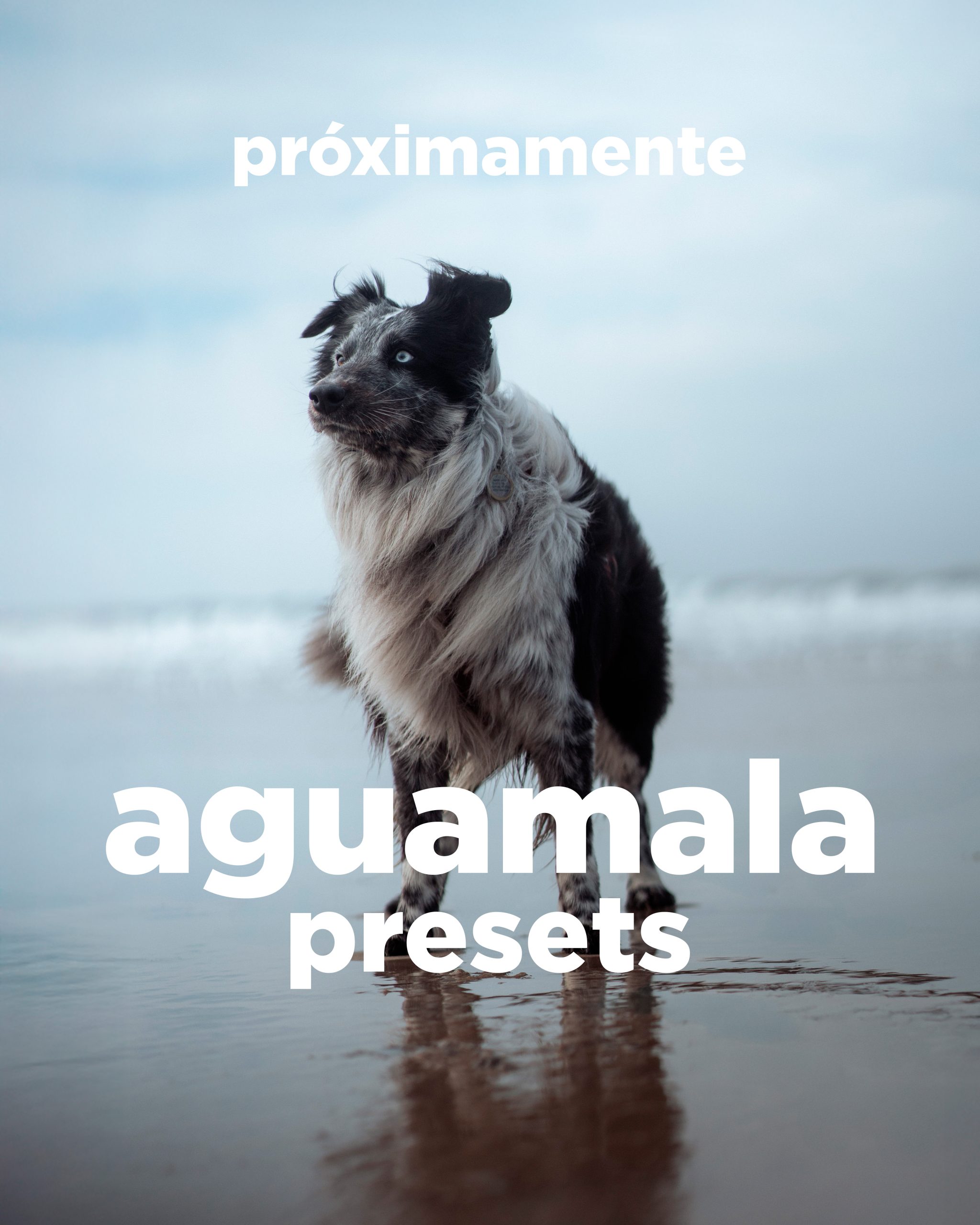 Aguamala Presets