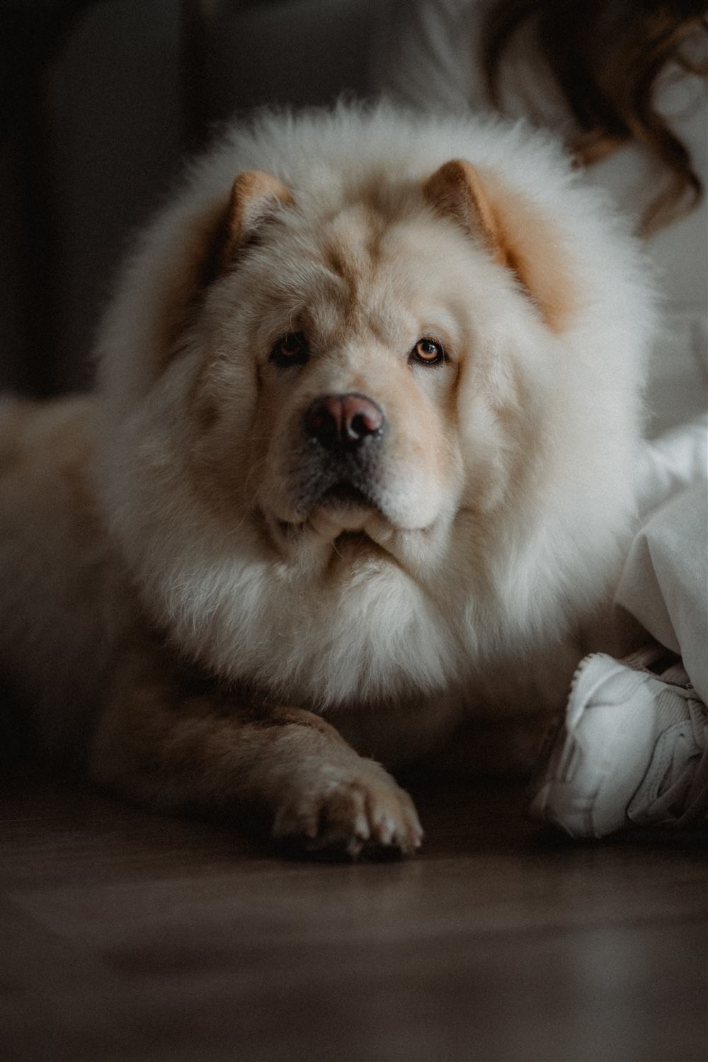 With Clásica preset