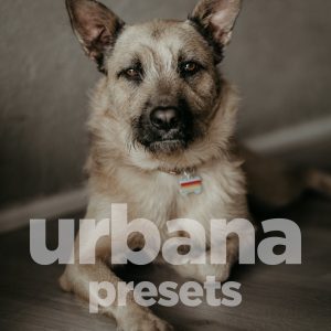 URBANA - PRESETS