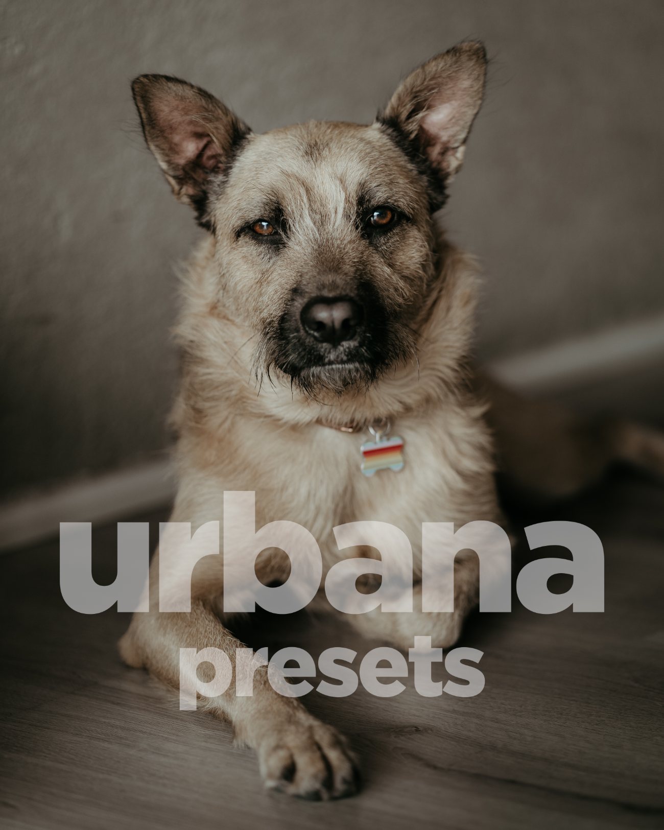 URBANA - PRESETS