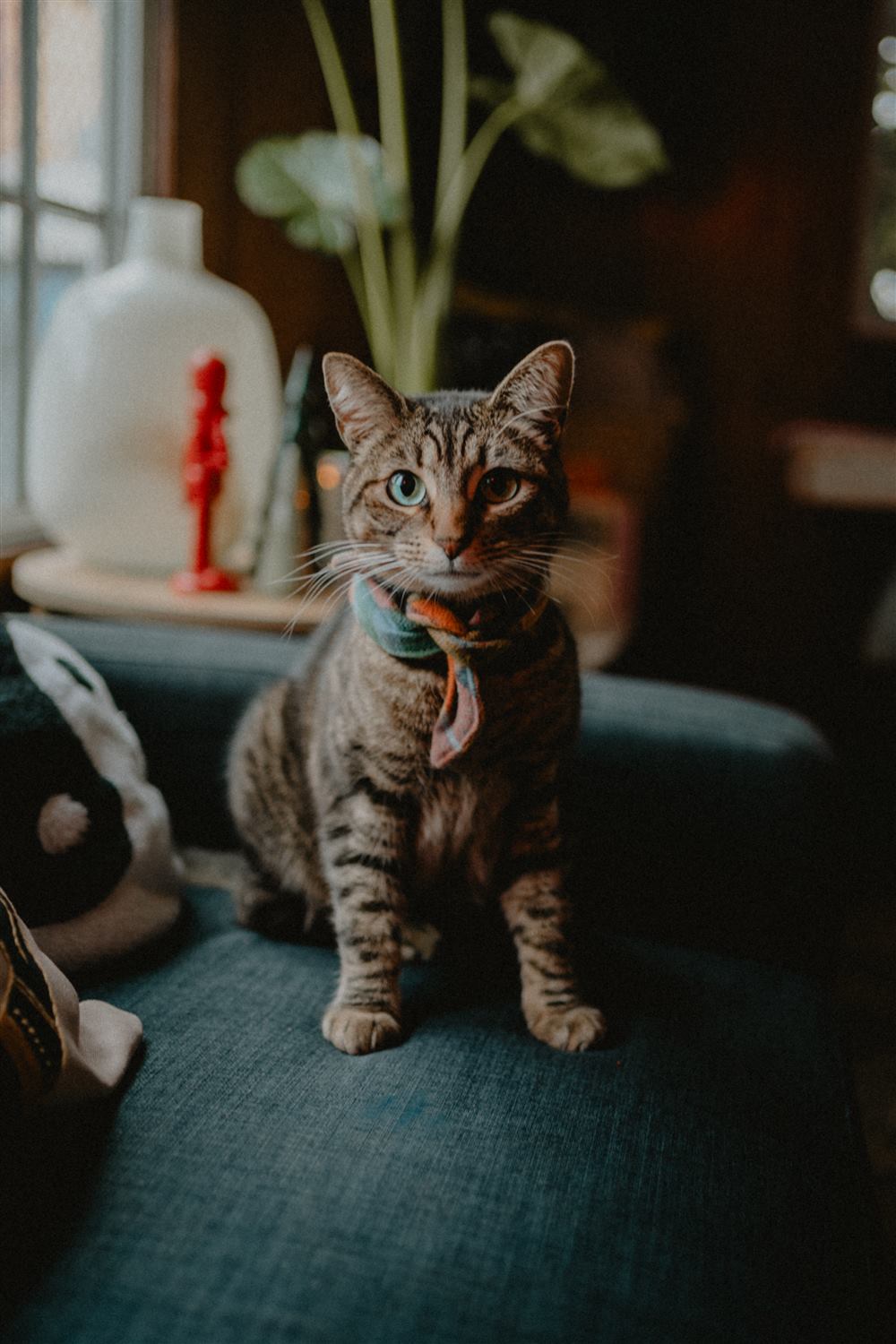 With Valle preset